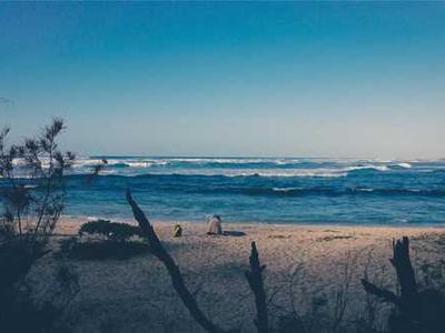 Elon Interviewed At GigaBerlin- With News on FSD March 20 Netherlands, Cybercab, Optimus