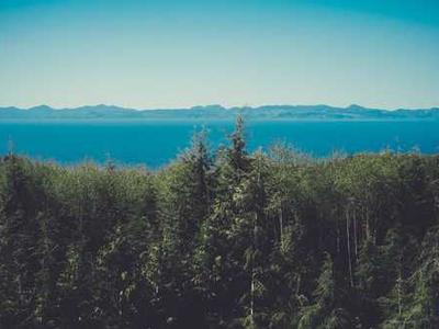 Tesla Has Unboxed Manufacturing Building Hundreds of Cybercabs