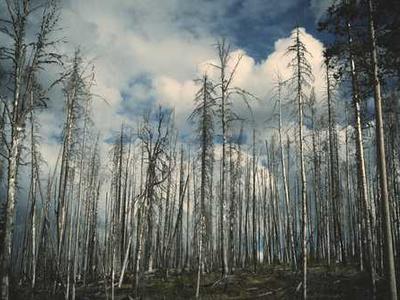 The best Samsung TVs of 2026: Expert tested OLEDs, big-screens, and more