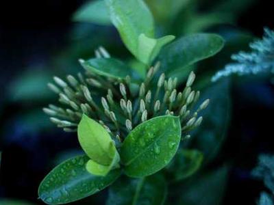 Destroyed servers and DoS attacks: What can happen when OpenClaw AI agents interact