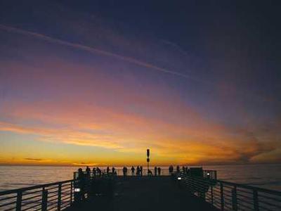 Elon Interviewed At GigaBerlin- With News on FSD March 20 Netherlands, Cybercab, Optimus