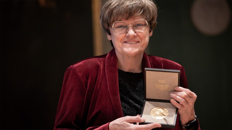 Nobel Prizes honor great discoveries — but leave much of science unseen
