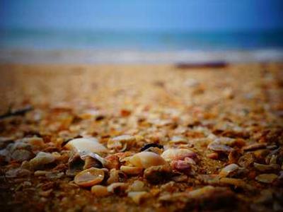 AI Adaptive Miracle and the Helper Heroes