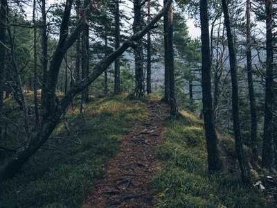 You can share your real-time location via Google Messages now - here's how