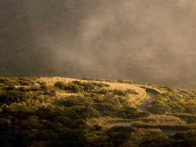 The best live TV streaming services of 2026: Expert tested